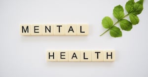 Mental health Written on titles and a green plant stem in the corner